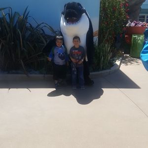 Meet your Posher, Marina